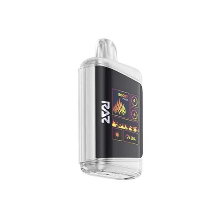 RAZ MEGA 25000 PUFFS 5% MIAMI MINT – vcoolec